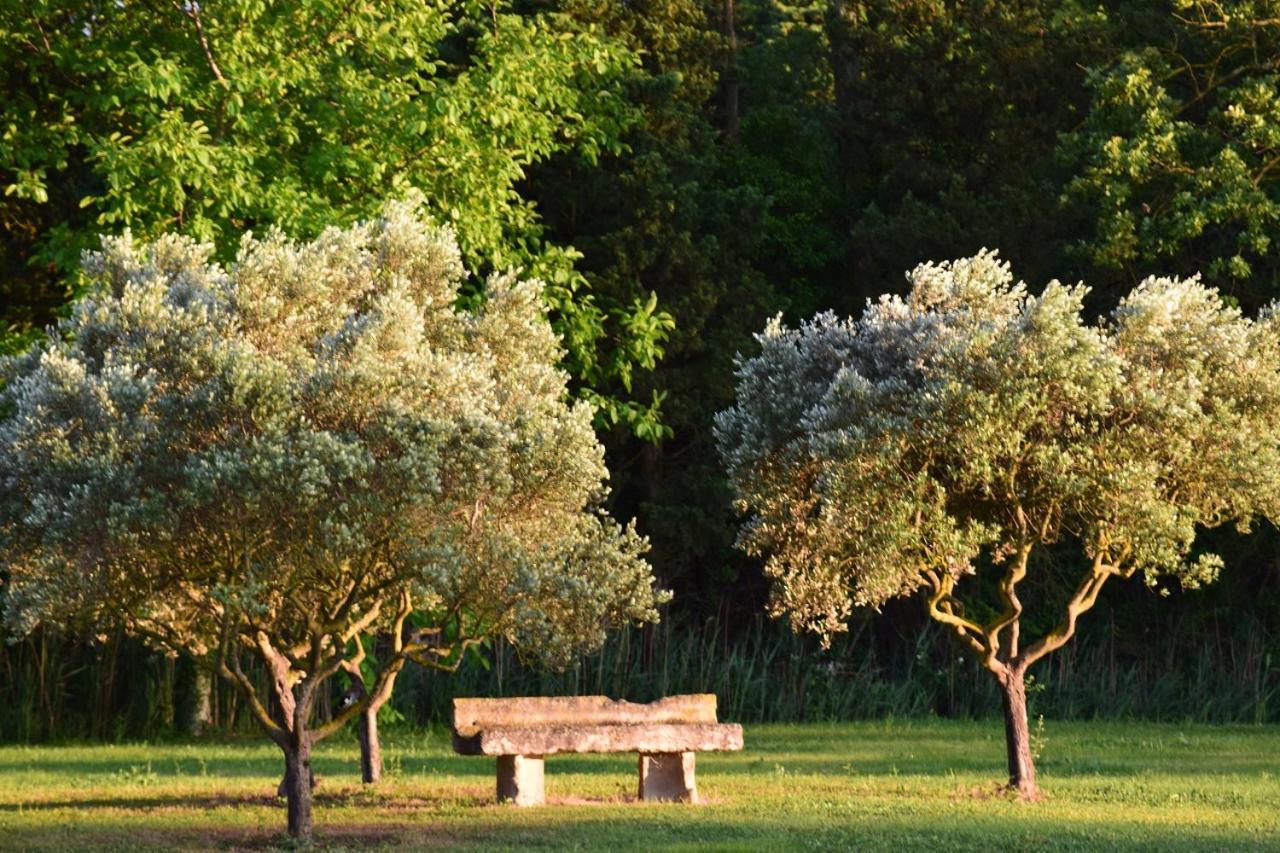 La Bastide Des Amouriers Caumont-sur-Durance Luaran gambar